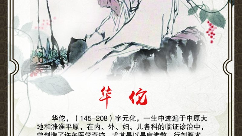 中医拔罐：了解价格背后的故事**