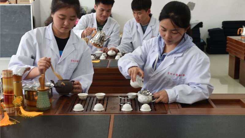车载按摩坐垫，如何挑选适合自己的？**